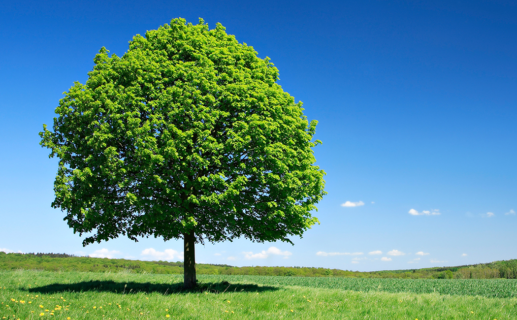 Geplante Systeme schaffen Vertrauen