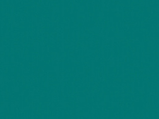 Umfangreiche Einarbeitung nach Plan („Patenmodell“)